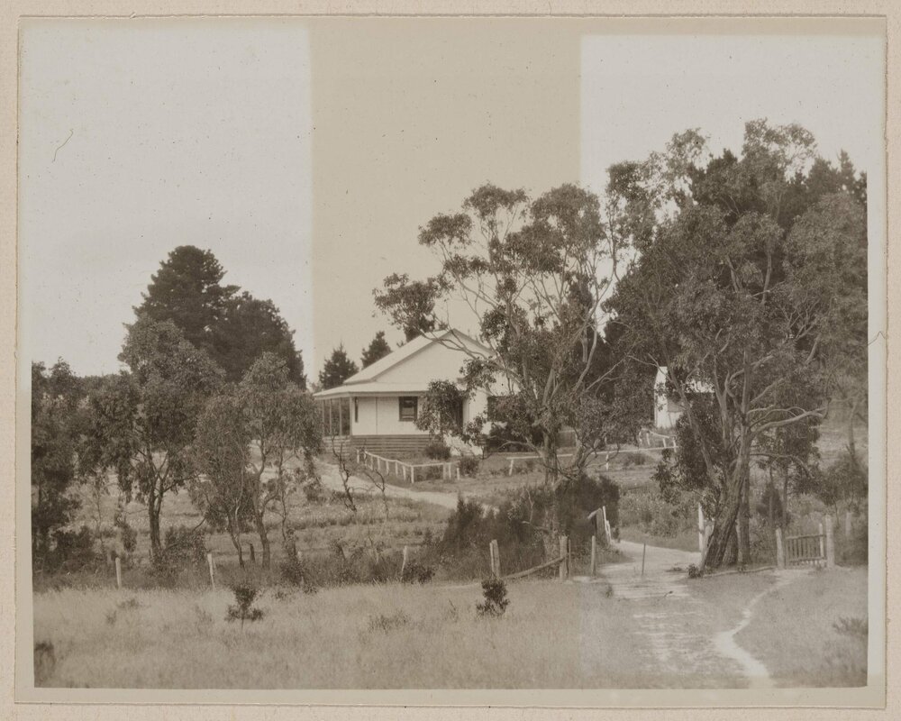 [Cottage surrounded by trees]