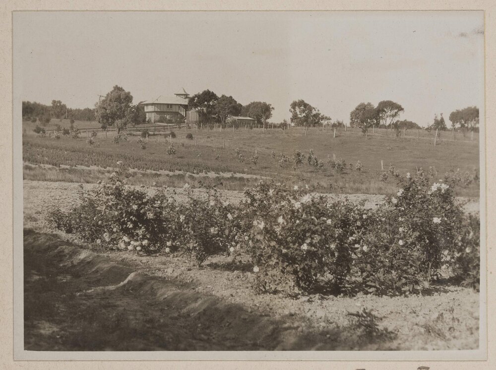 View of [Westerfield] from afar