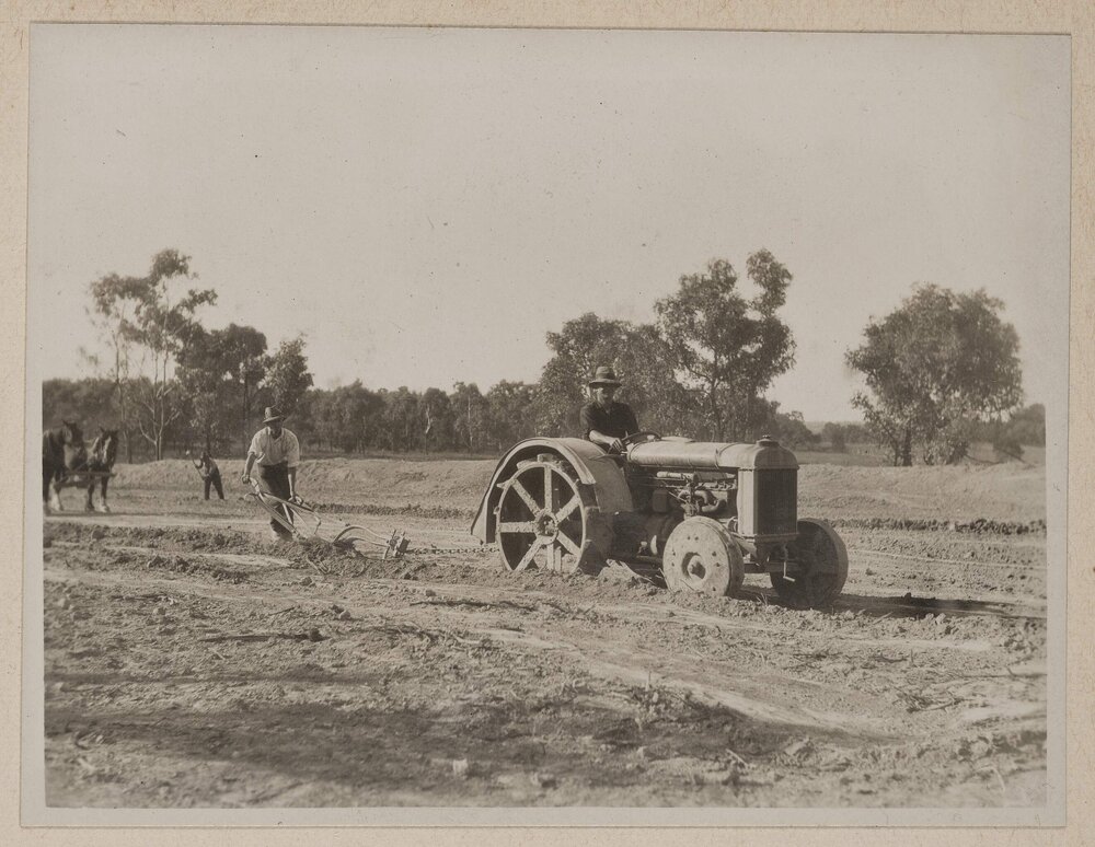 Westerfield