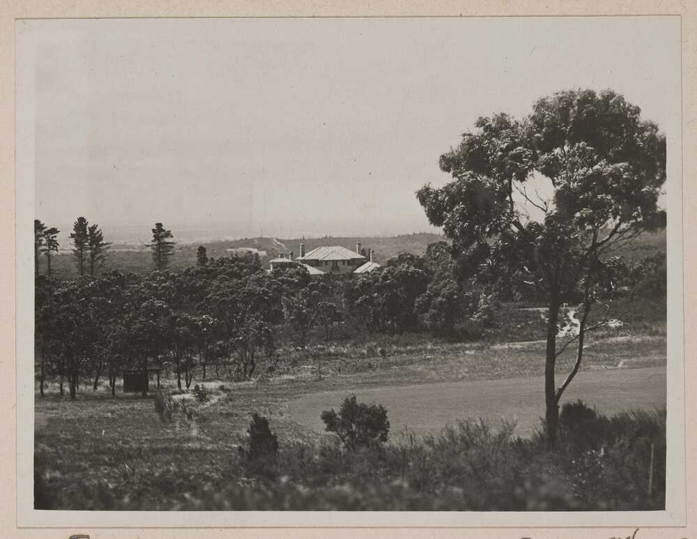 Pinehill