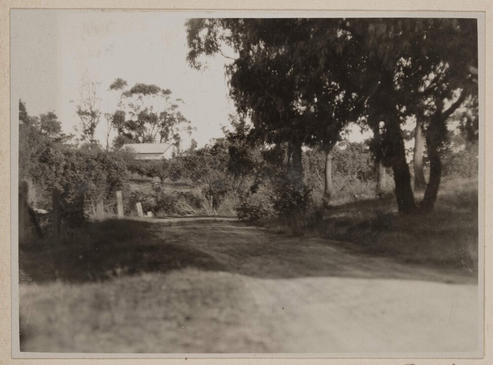 [Dirt road with house behind shrubs]