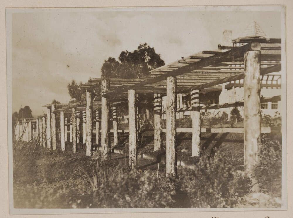 [Bare walkway arbour]