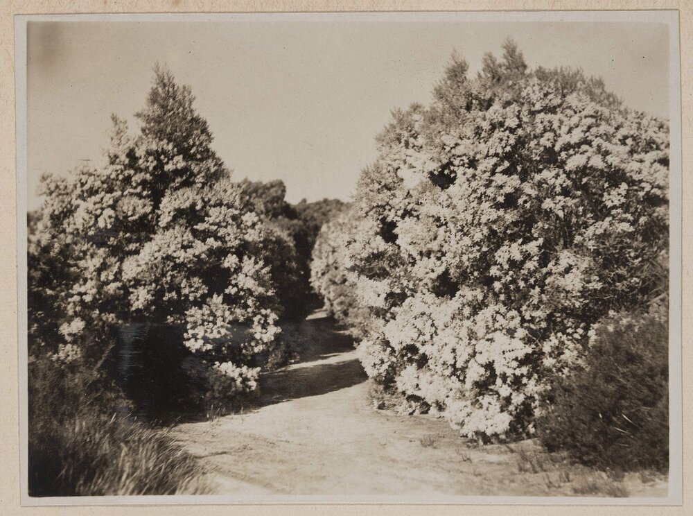 Frankston Golf Course