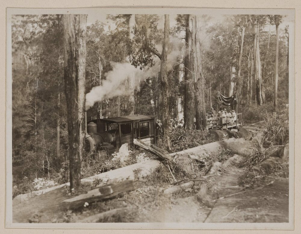 [Langley Vale Timber Tramway]