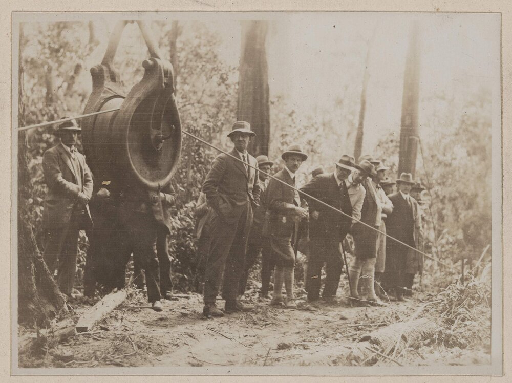 Felling and logging tallowwood - Langley Vale, N.S.W.