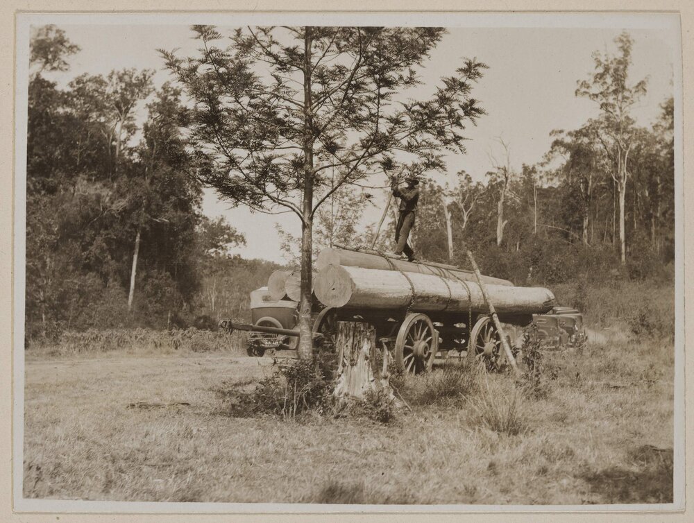 [Man standing on logging wagon] Brooloo Q[ueensland]