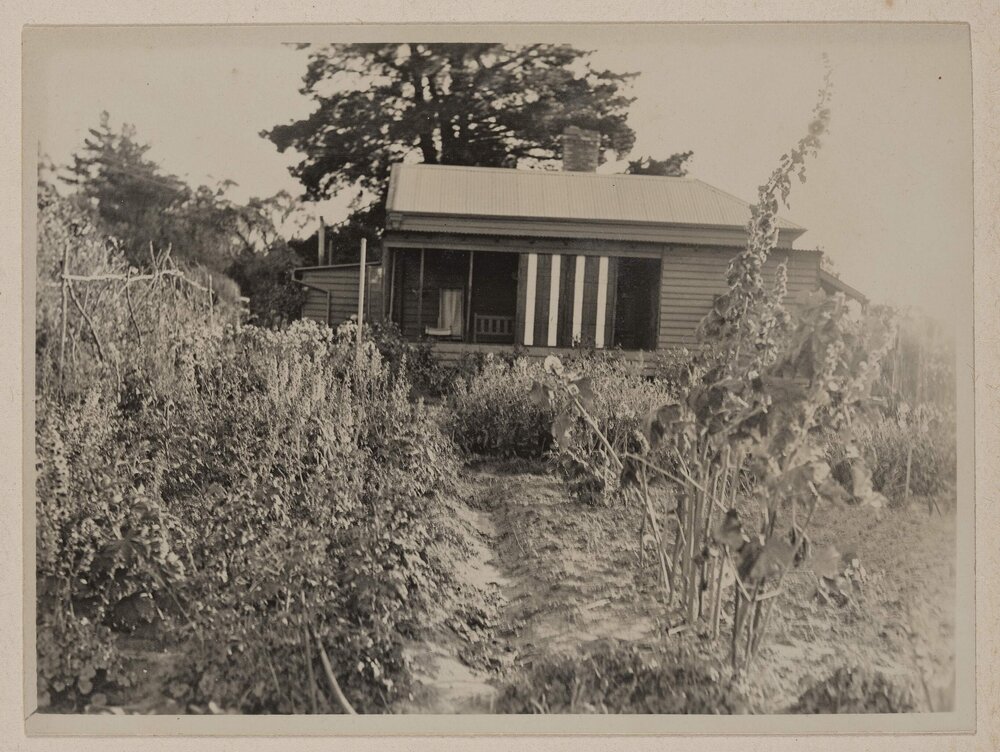 [Cottage] Prospect