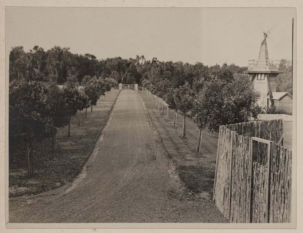 [Driveway and windmill, Westerfield]