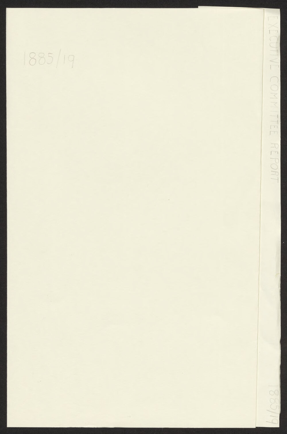 Executive Committee Report