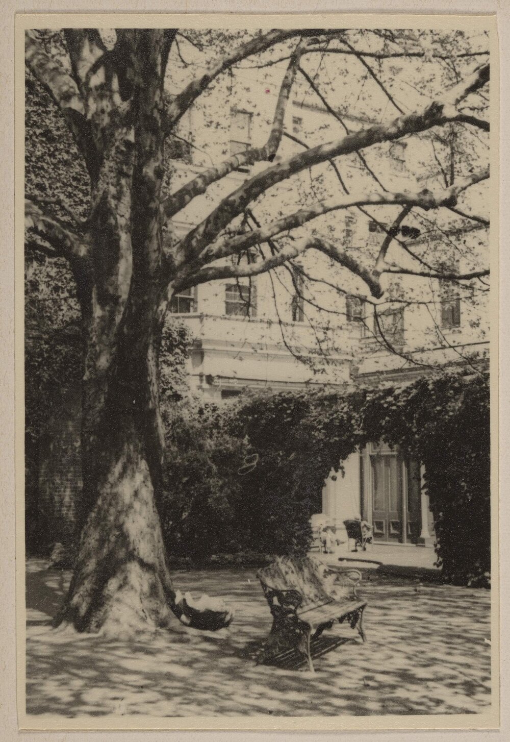 [Garden at the Melbourne Club]