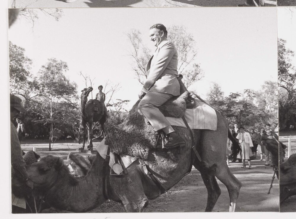 [Malcolm Fraser riding a camel in Alice Springs]