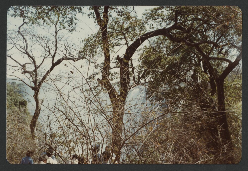 [Bush scene photographed by Malcolm Fraser on a visit to Nigeria]