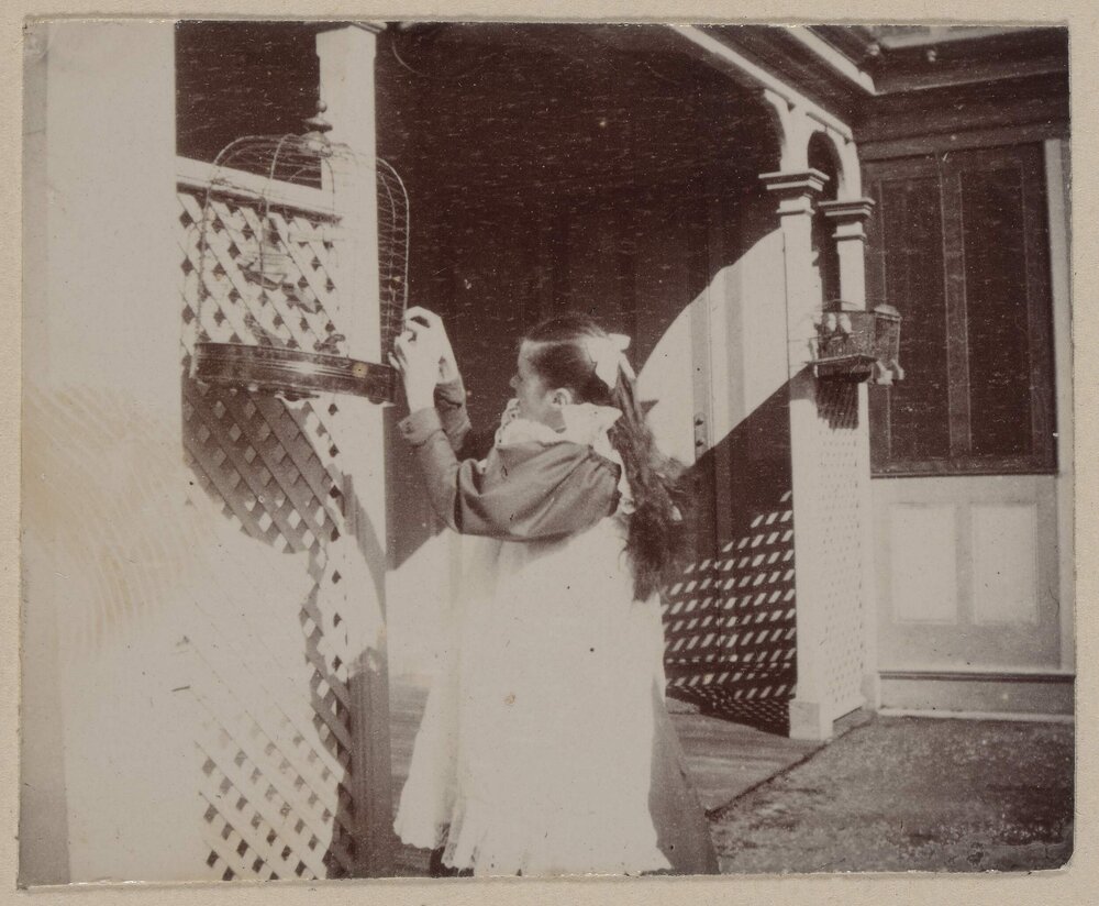 [Woman adjusting bird cage]