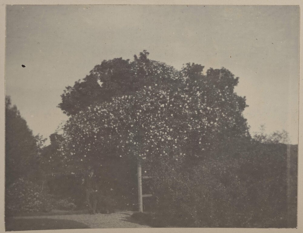 [Man, woman and dog in front of kennel]
