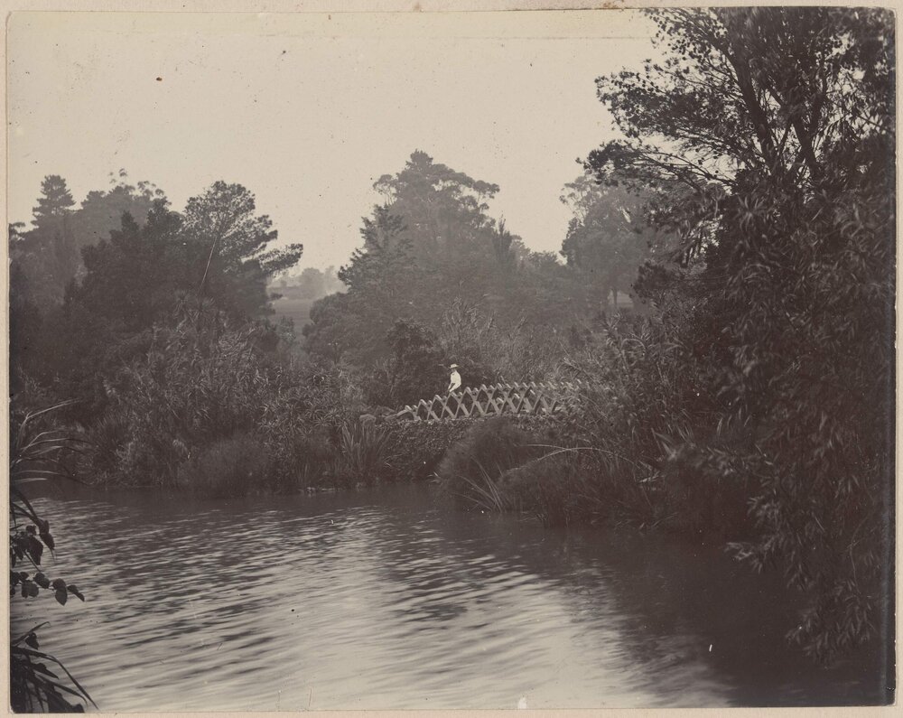 [Views in Botanic Gardens, Melbourne]