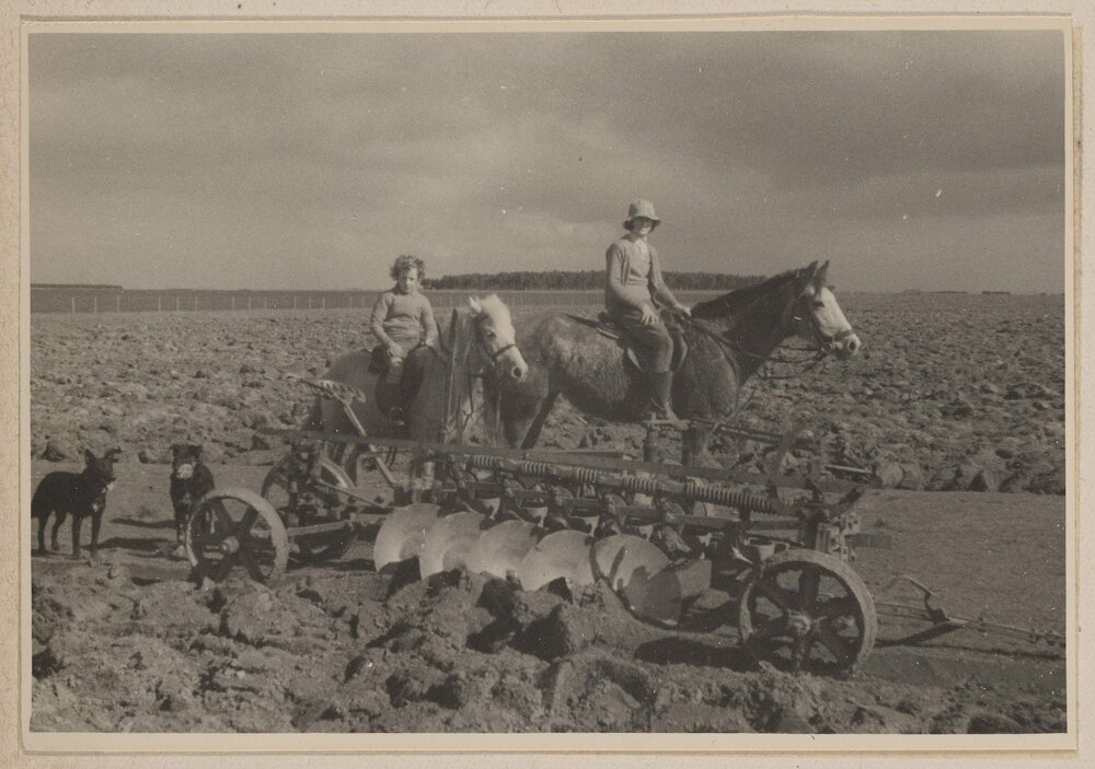 [Unidentified woman and child on horseback behind a plough in trenched field]