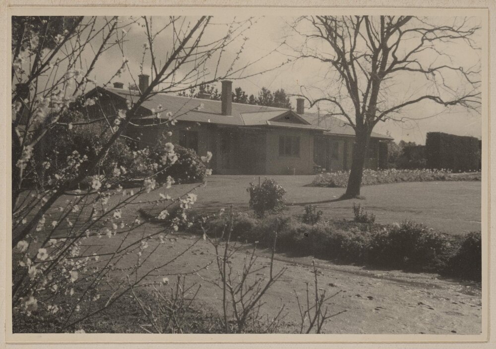 [Homestead with blossoms]