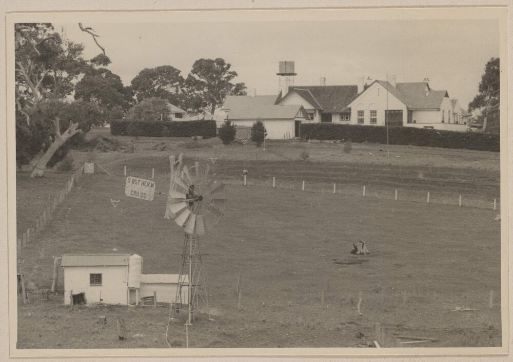 [Barnoolut homestead and windmill near Casterton, Victoria]
