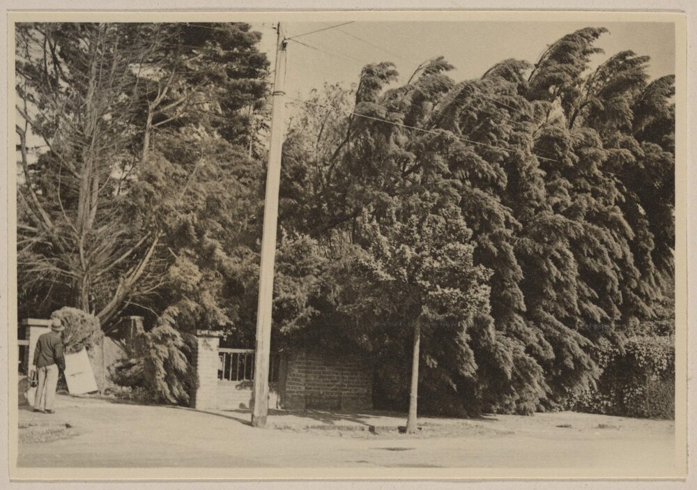 Miegunyah [storm damage at front gate]