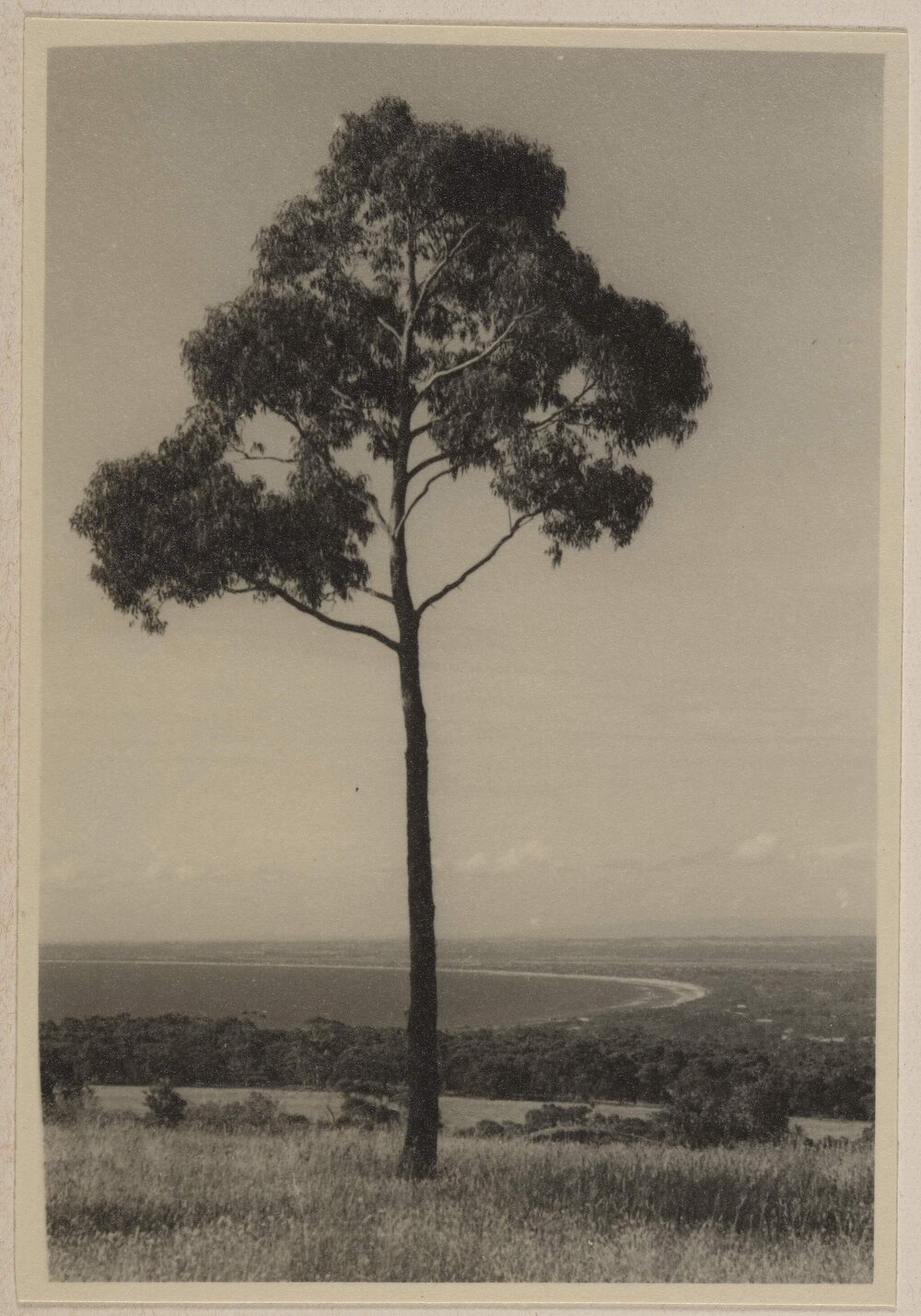 Green Hill [near Malmsbury Victoria]