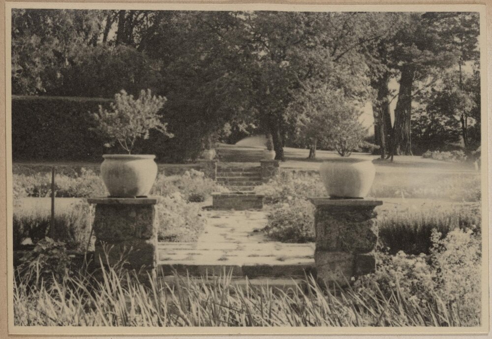 Miegunyah [stoned landscape]