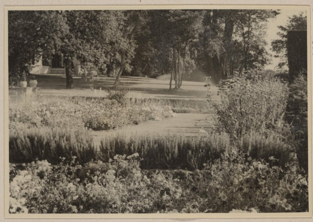 Miegunyah [lawn and gardens]