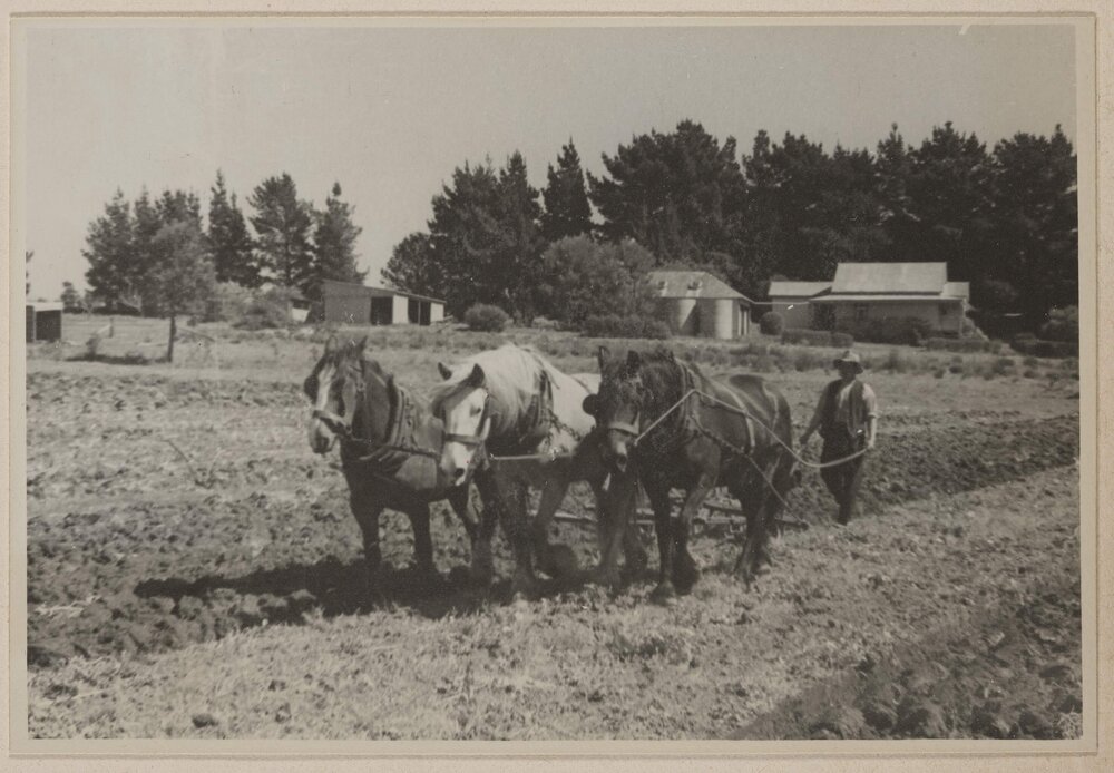 [Horse drawn plough or roller]