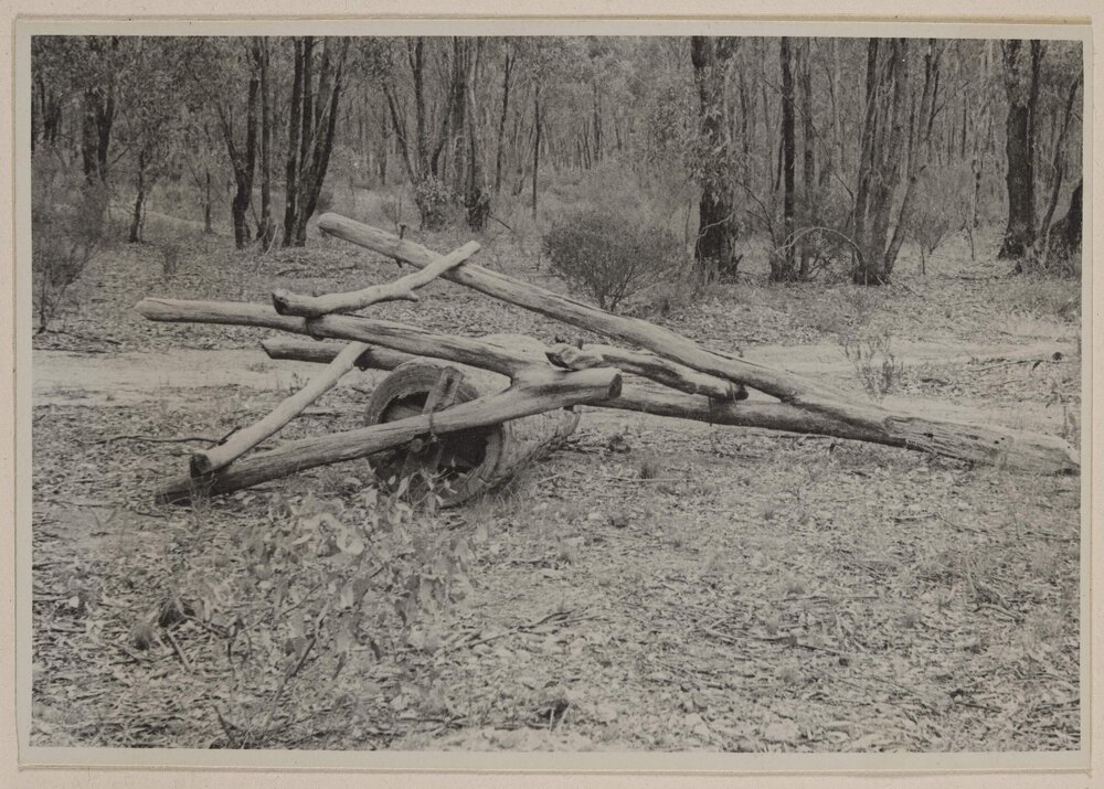 [Timber crafted roller]