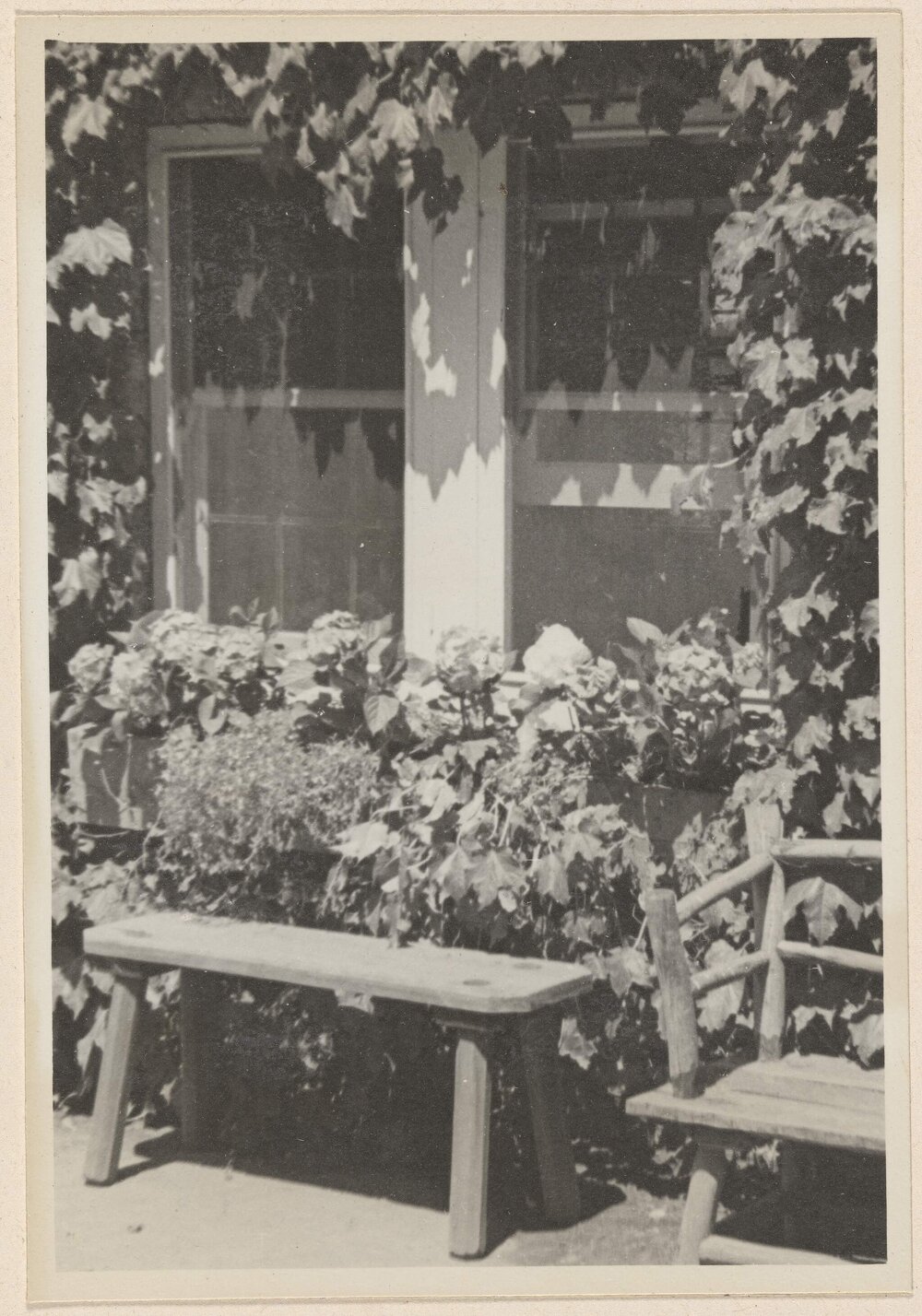 [Outdoor window garden setting, Westerfield]