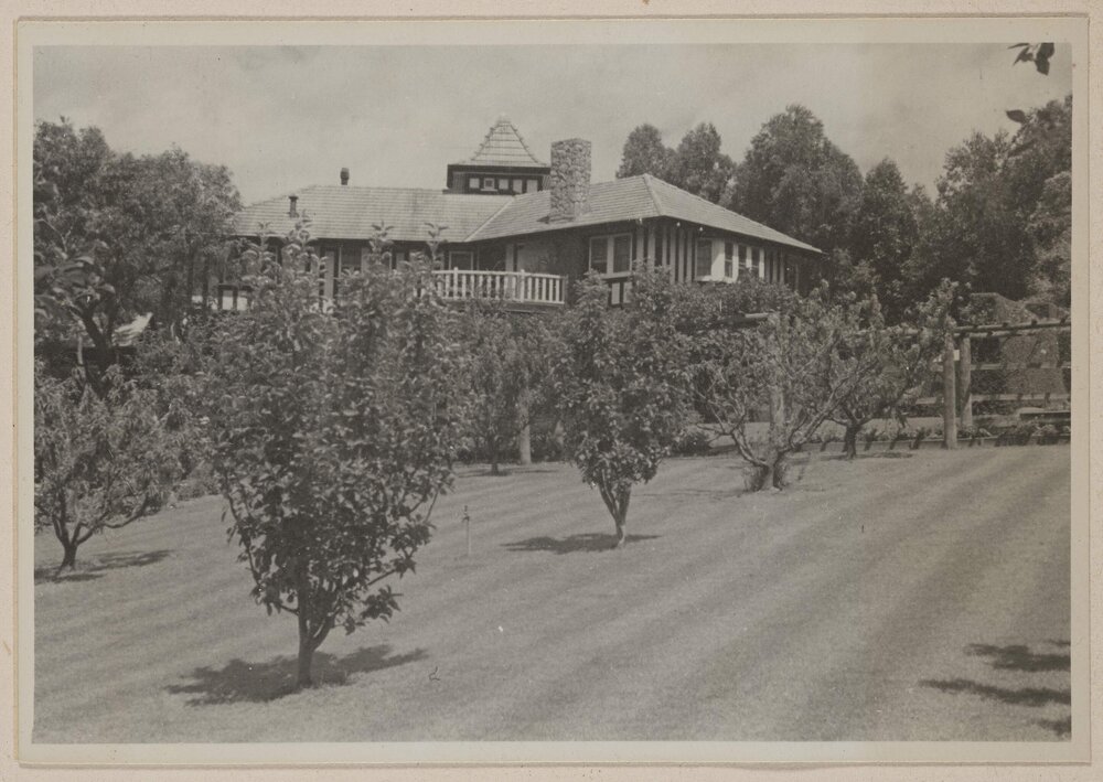 [Orchard at Westerfield]