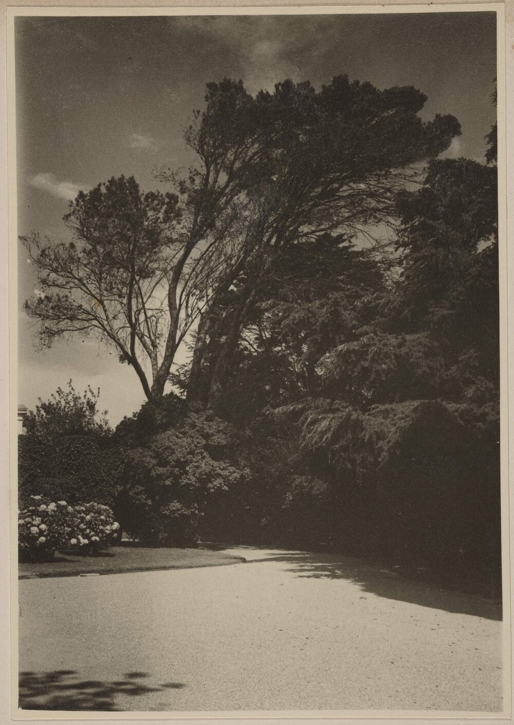 [Miegunyah manicured lawn] 