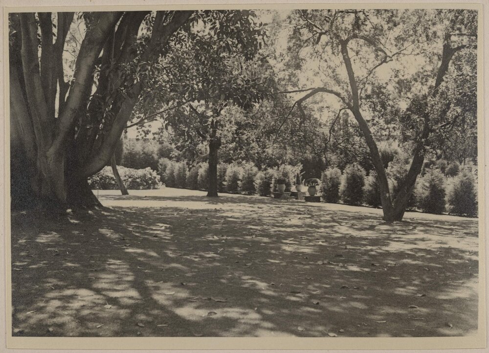 [Display of shadows in the garden at Miegunyah]