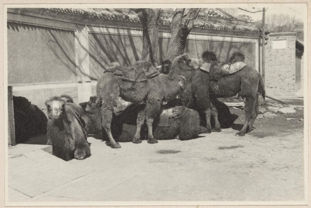 Summer Palace, Peiping [China]