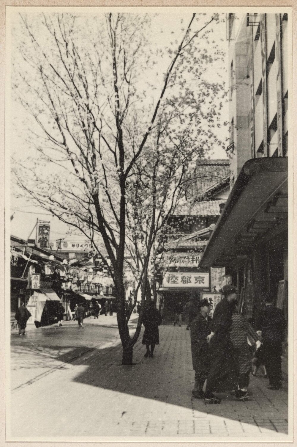 [Street in Kyoto, Japan]