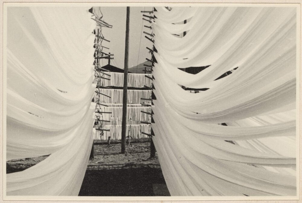 [Cotton bleaching Japan]