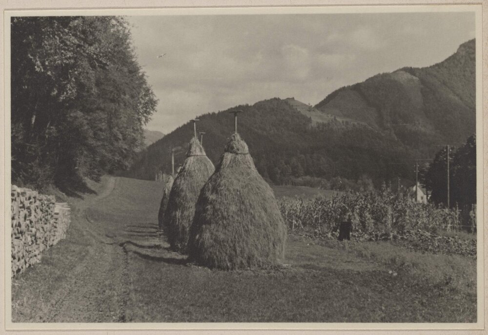 [Hay ricks, Austria]