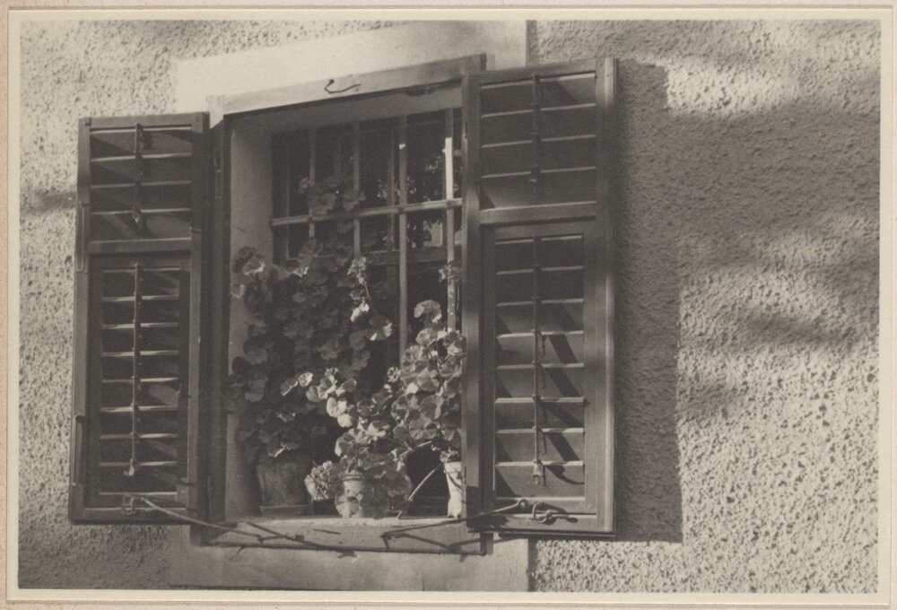 [Window with wooden shutters and potted creeping plant, Austria]