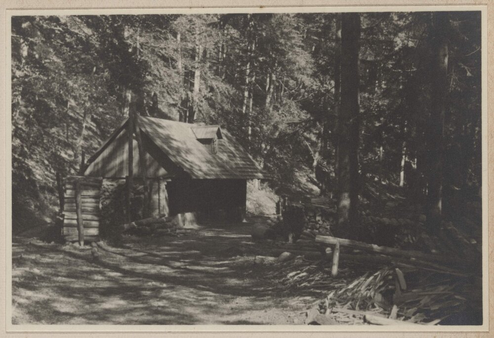 [Wooden cabin in forest, Austria]