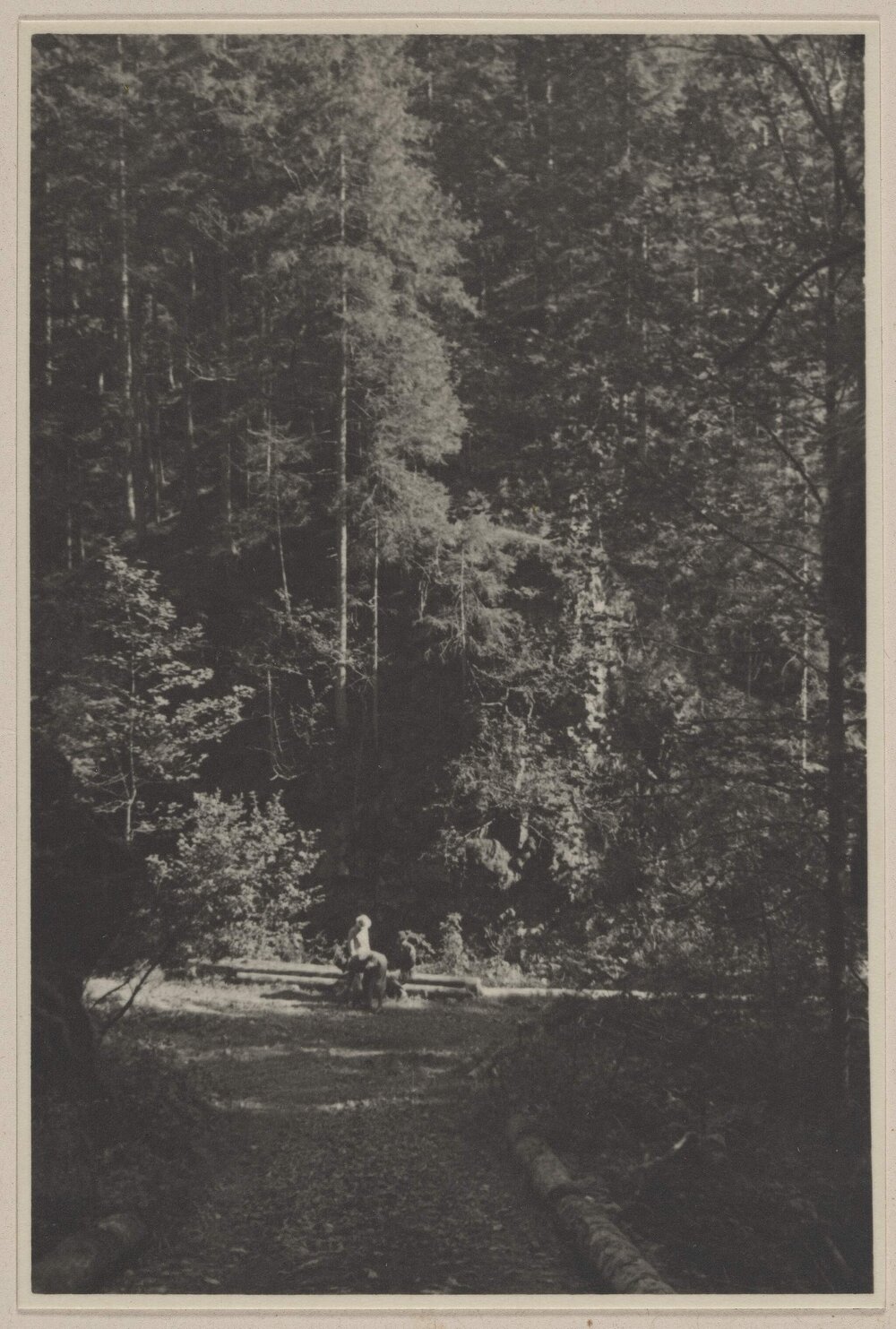 [Mabel Grimwade and companions in a forest in Austria]