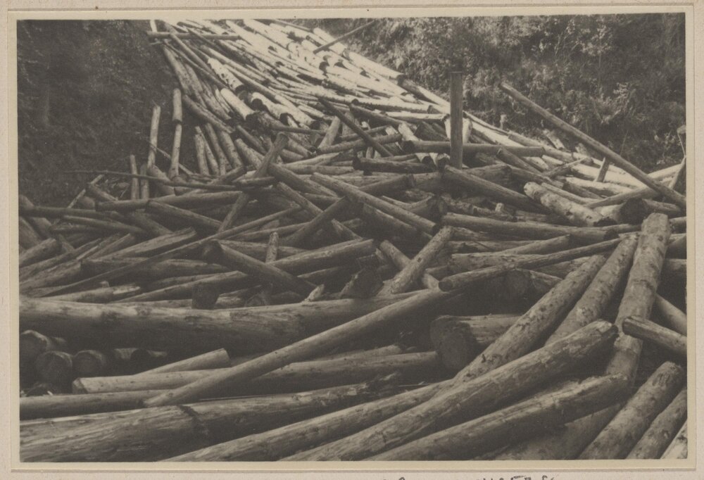 [Logged tree trunks, Austria]