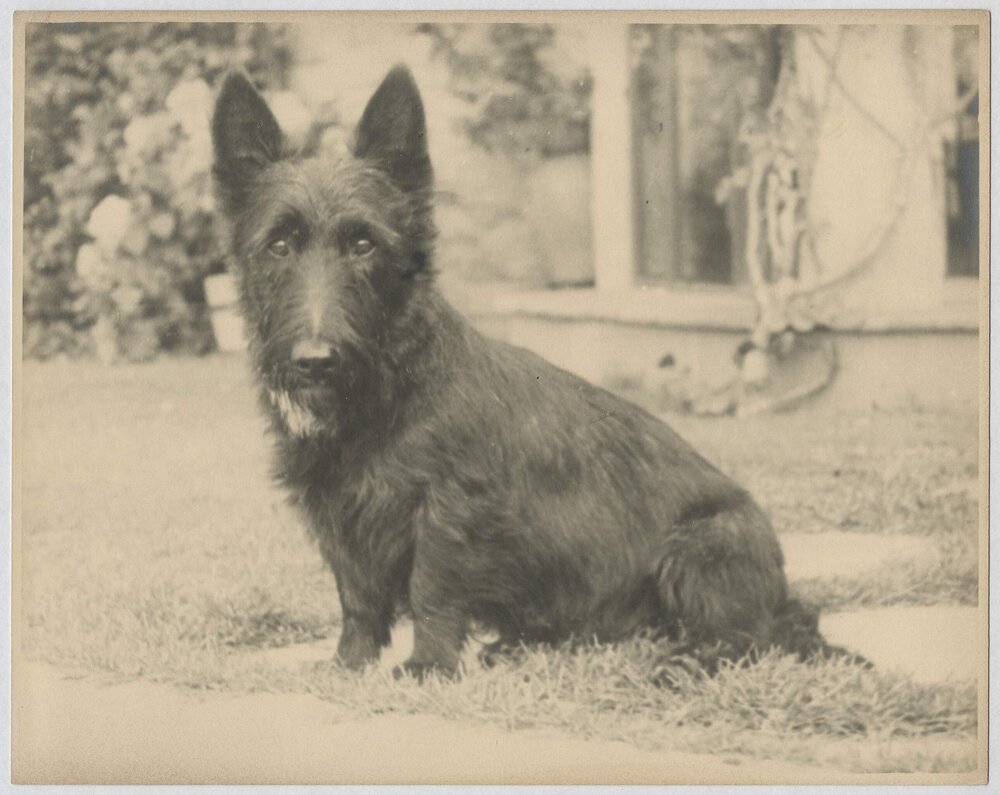 [Andrew Mac, Miegunyah]