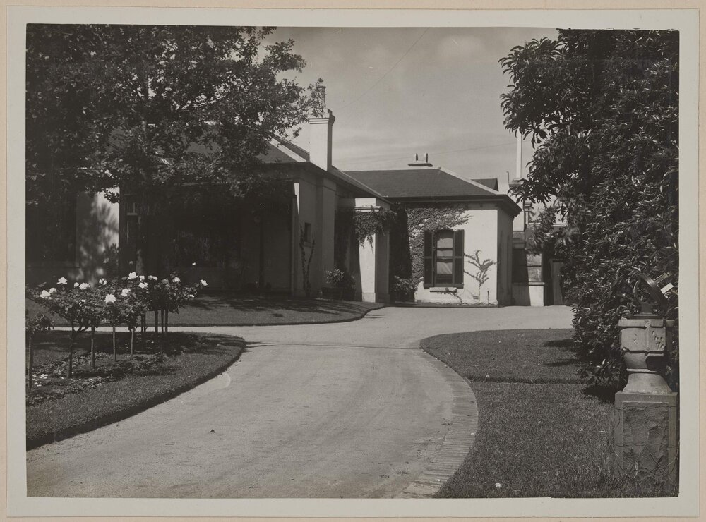 Miegunyah [driveway and gardens]