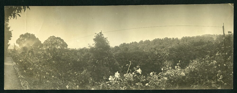 [Panoramic] Rostrevor [7 if 21]