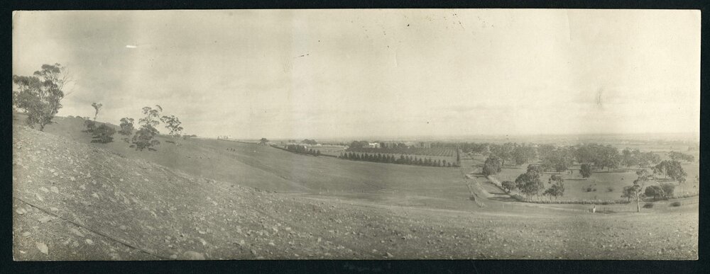 [Panoramic] Rostrevor [10 of 21]