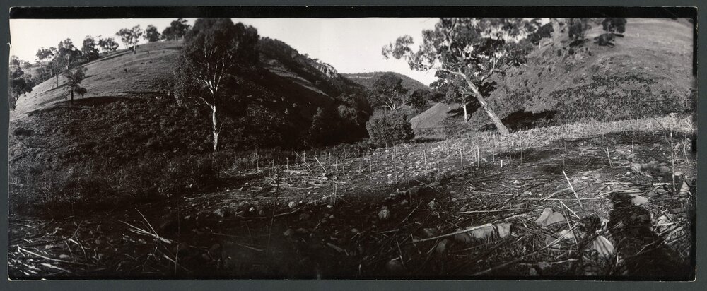 [Panoramic] Rostrevor [11 of 21]