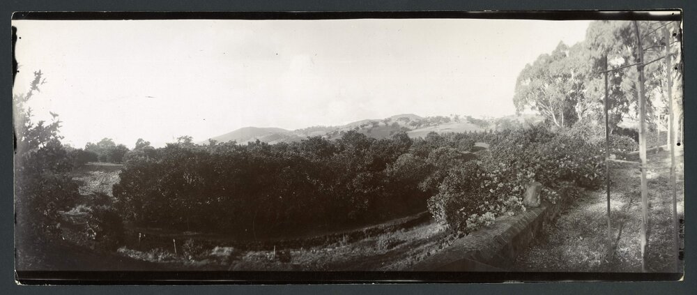 [Panoramic] Rostrevor [13 of 21]
