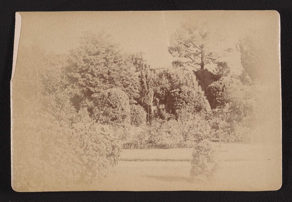 Garden of "Rostrevor"