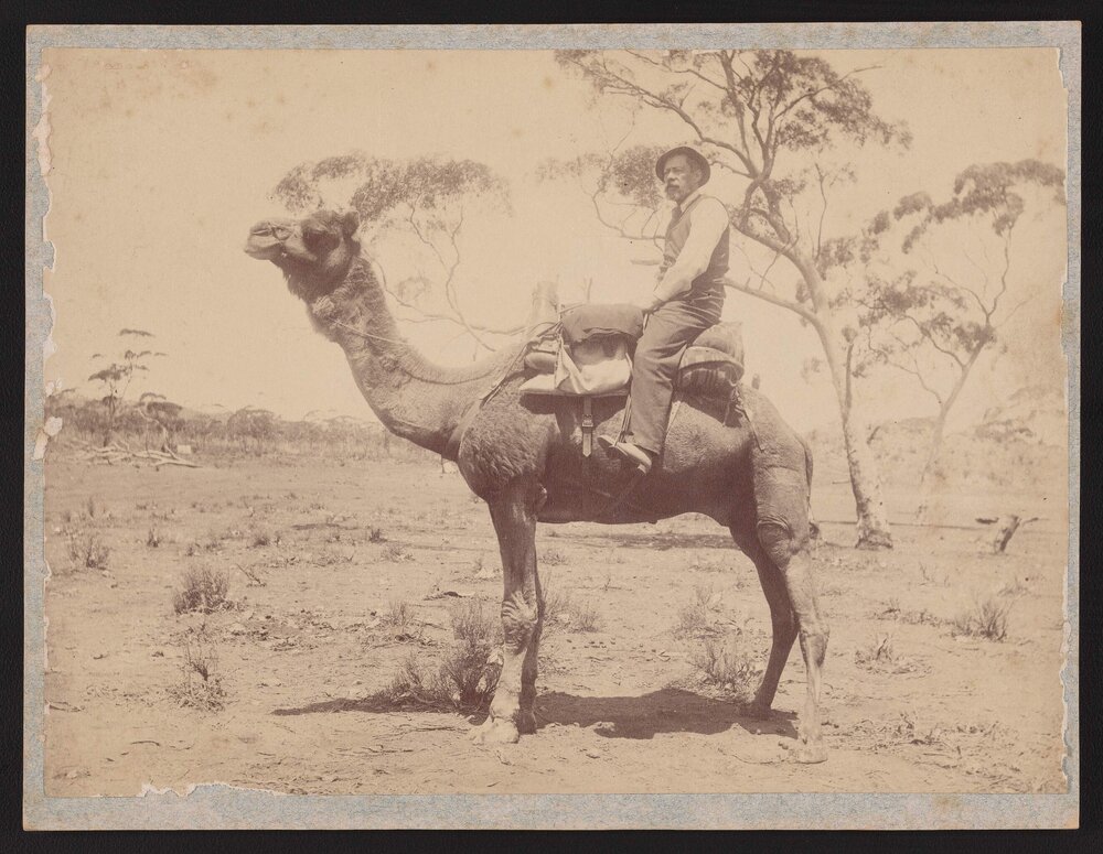 James Smith Reid atop a camel