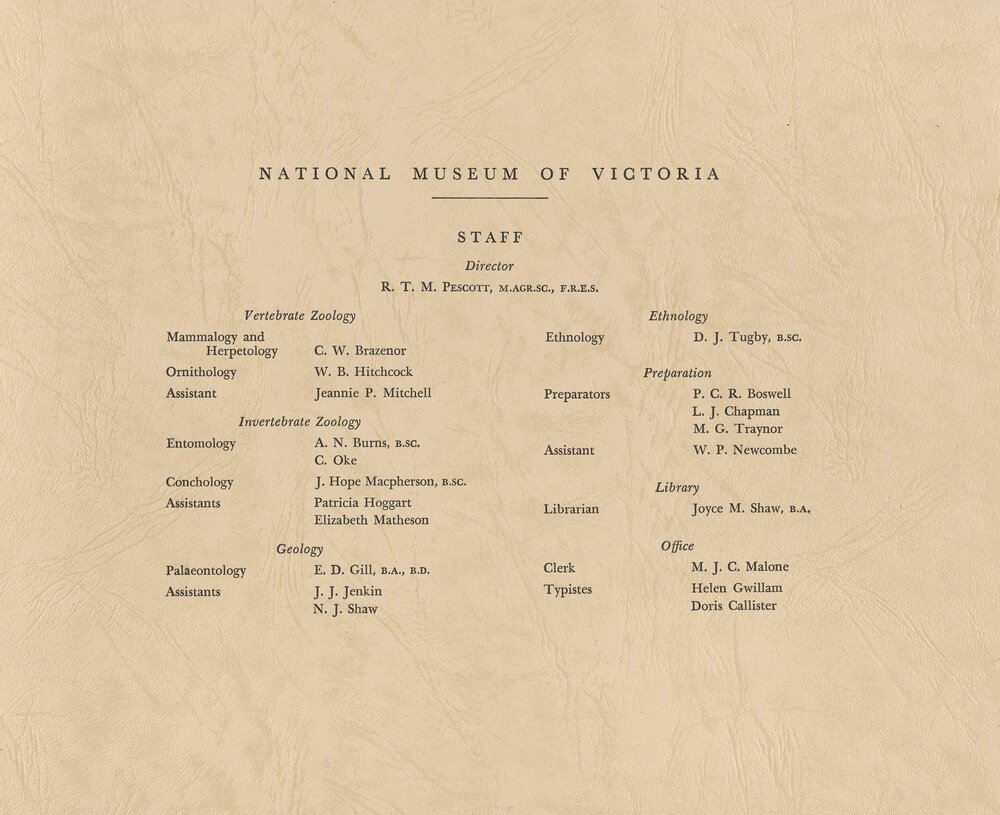 National Museum of Victoria Staff