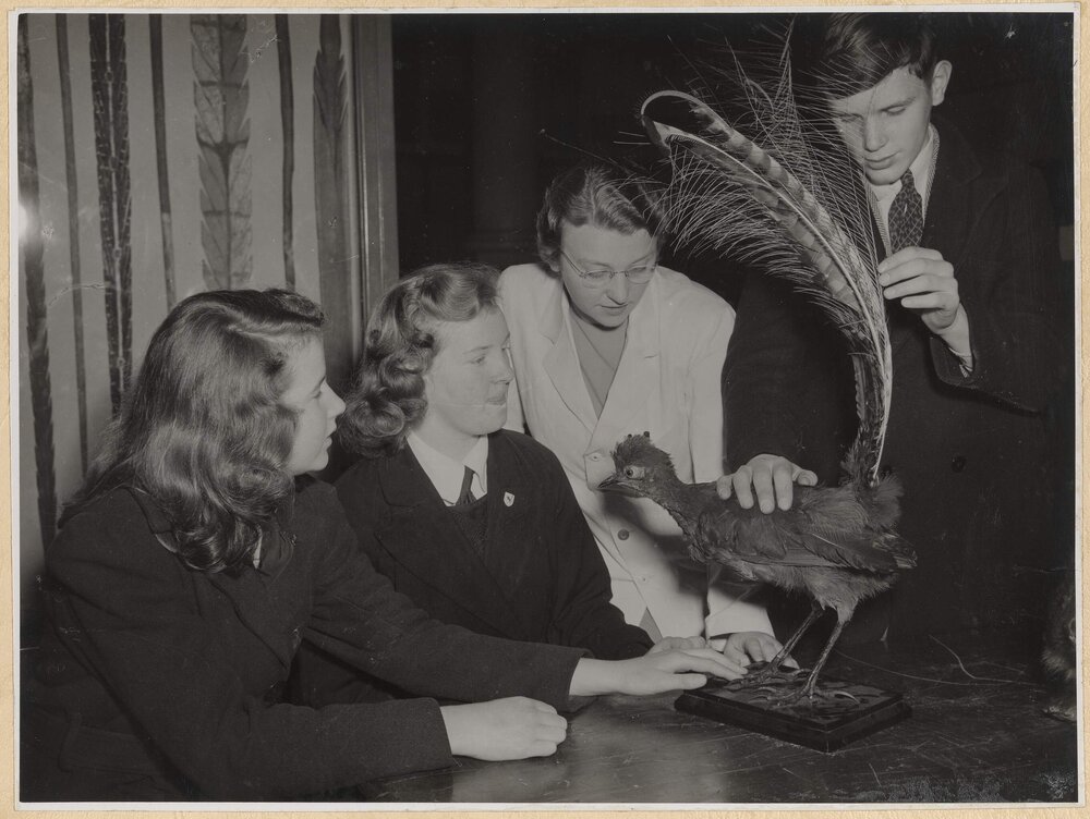Biology Class for Blind Children, National Museum